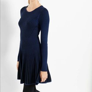 Express blue striped sweater dress.